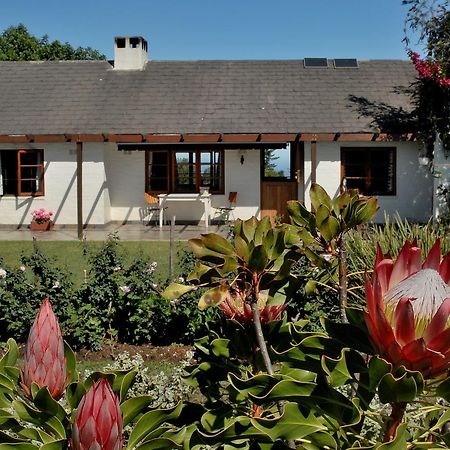 Heatherhill Farmhouse - Sea & Mountain Views Plettenberg Bay Esterno foto
