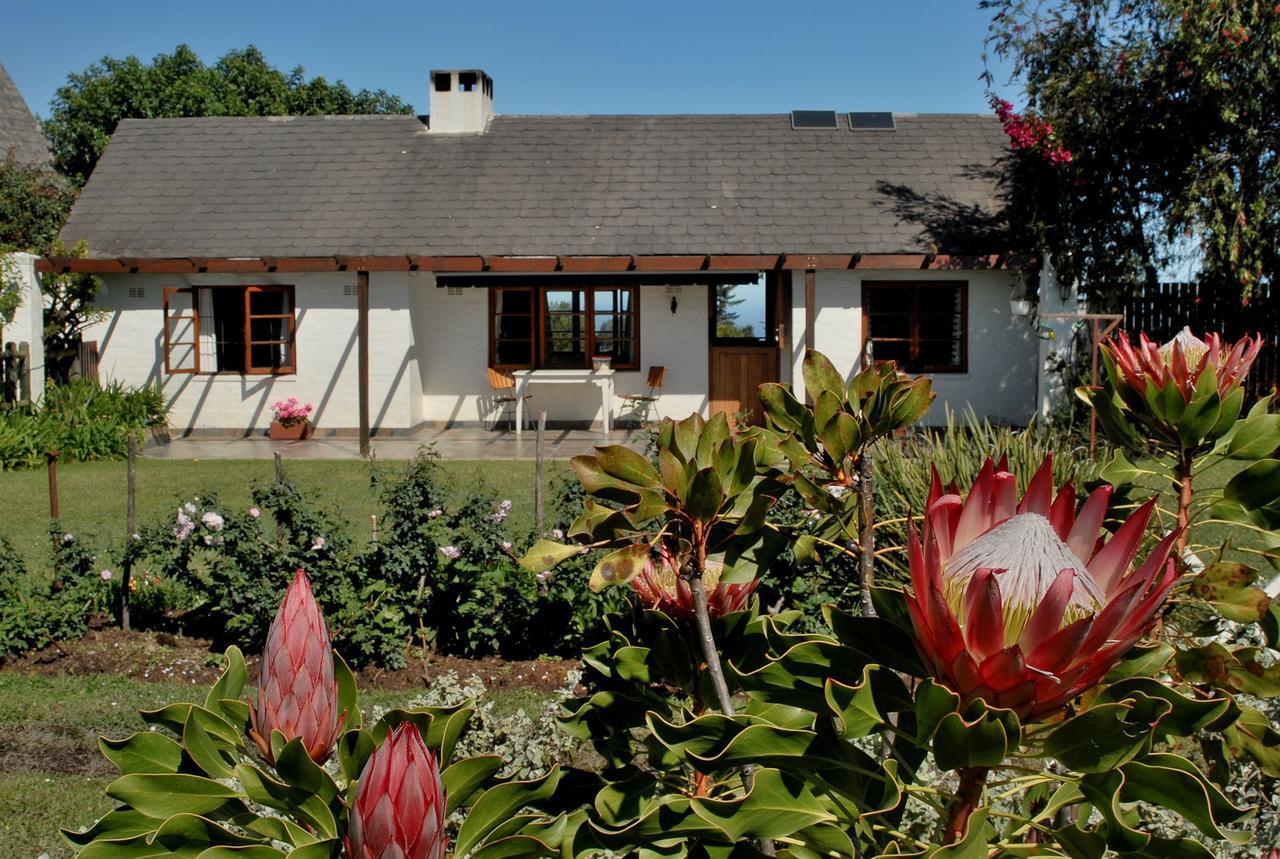 Heatherhill Farmhouse - Sea & Mountain Views Plettenberg Bay Esterno foto