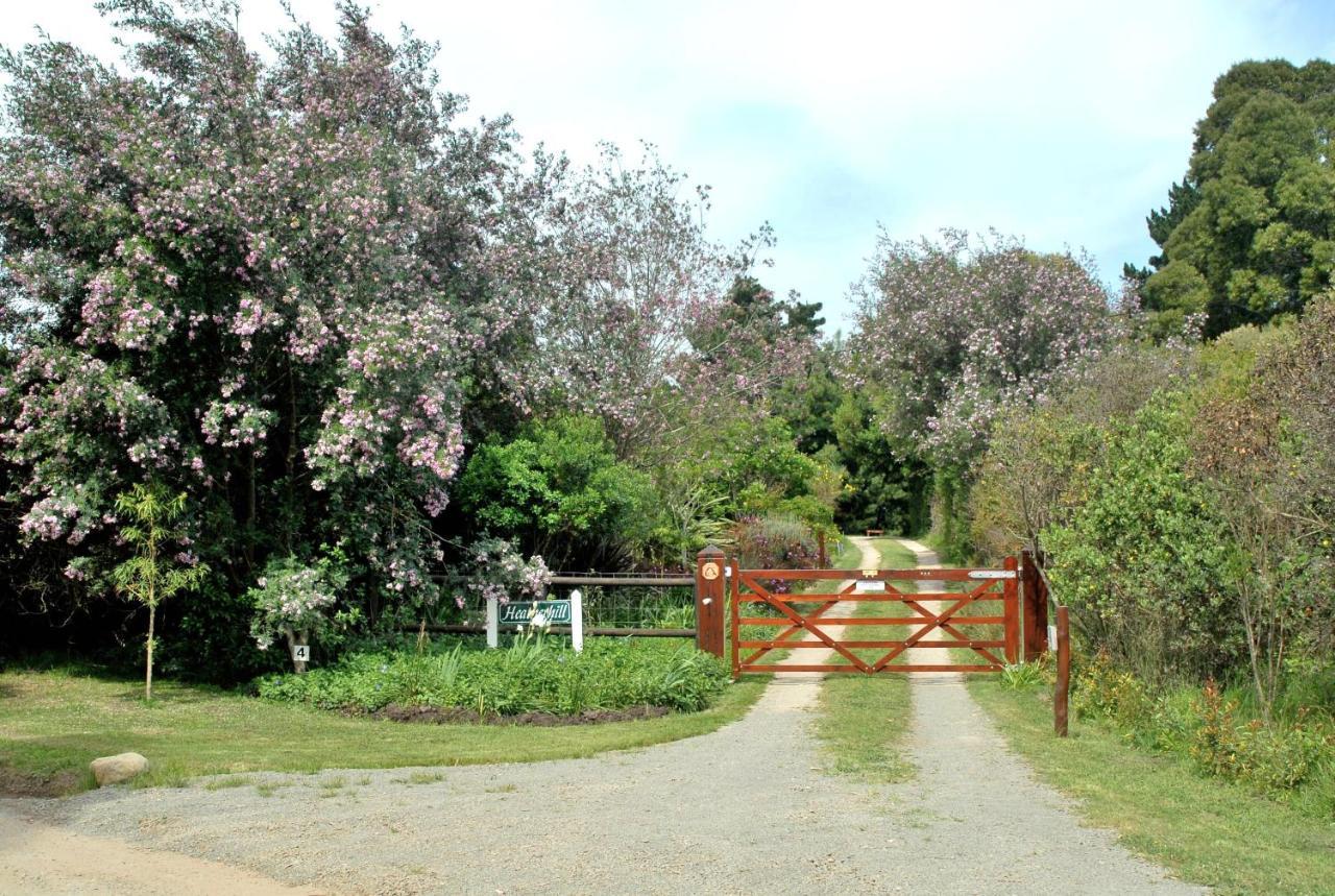 Heatherhill Farmhouse - Sea & Mountain Views Plettenberg Bay Esterno foto
