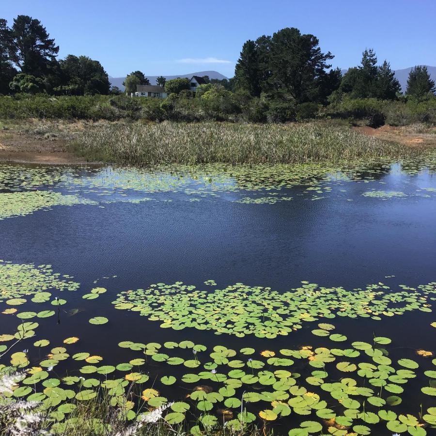 Heatherhill Farmhouse - Sea & Mountain Views Plettenberg Bay Esterno foto